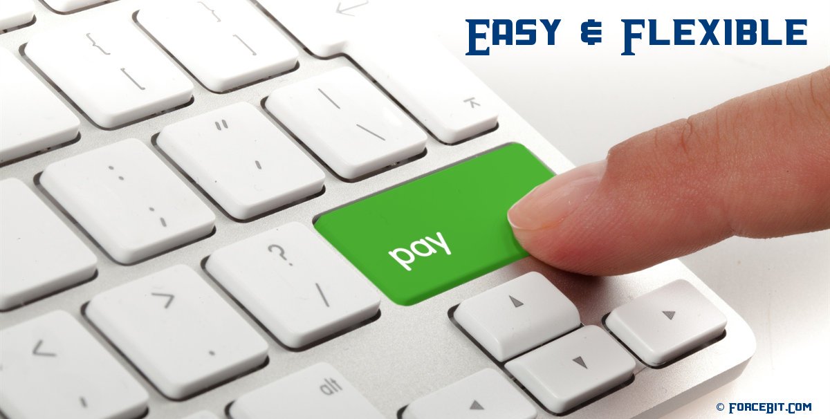Easy Flexible Payments